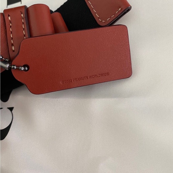 Coach X Peanuts Warren Belt Bag In Signature Canvas With Patches - Picture 9 of 10